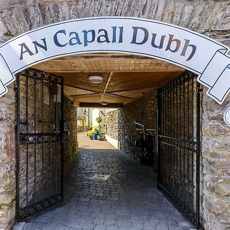 An Capall Dubh B&B Dingle Exterior foto