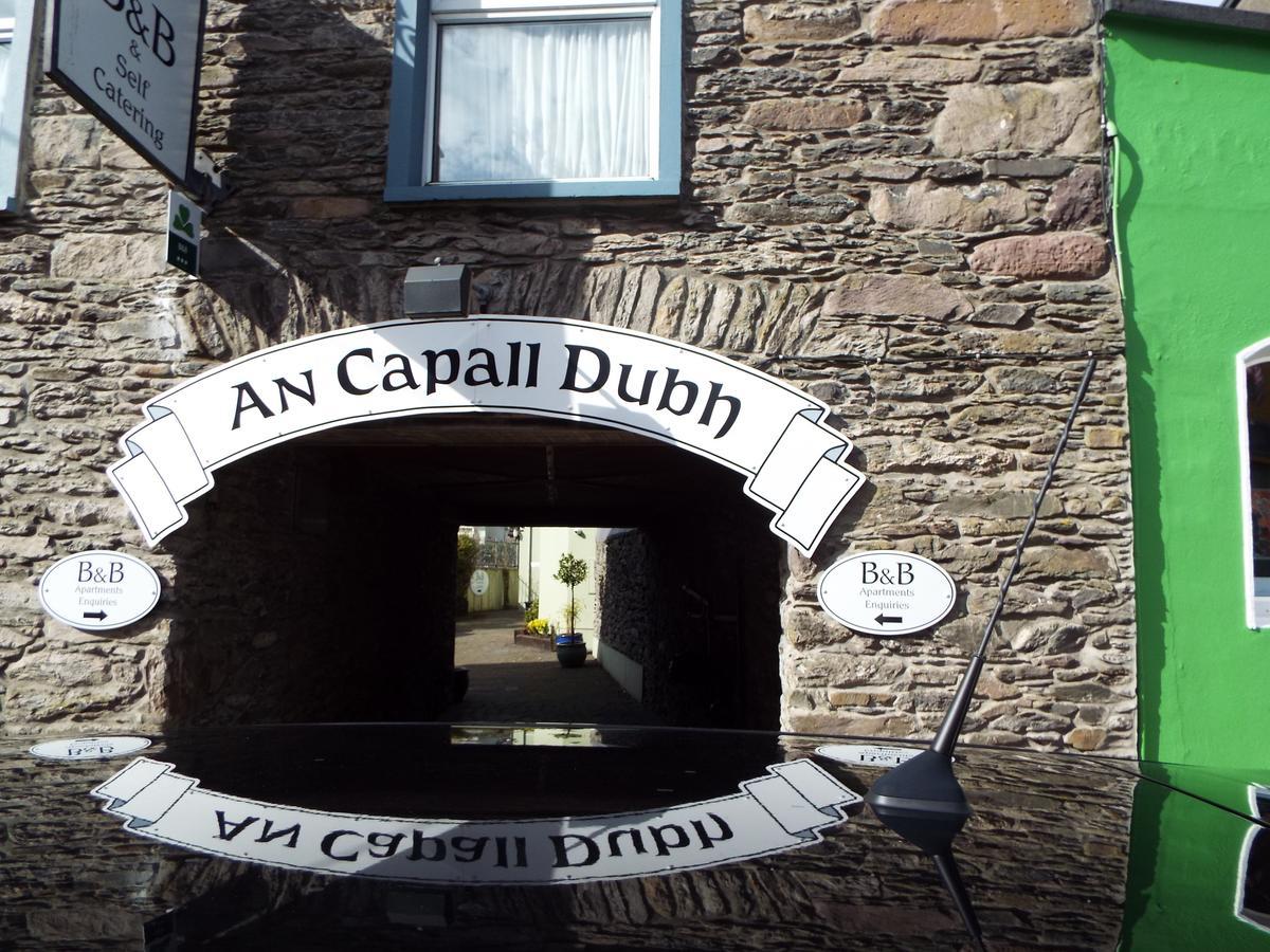 An Capall Dubh B&B Dingle Exterior foto