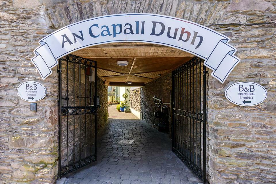 An Capall Dubh B&B Dingle Exterior foto